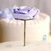 Stainless Steel Cake Decorating Tips Set , Cupcake Icing Flower Decorating Tool Cake Tips Set Bundle with Coupler Flower Nail