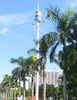 25 Meter galvanized steel street lamp post light pole with antenna basket for telecommunication purpose