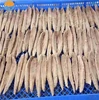 Factory Frozen Mackerel Fillet Frozen Fish Meat Frozen Seafood
