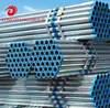 Galvanized Greenhouse Tube from Tianjin