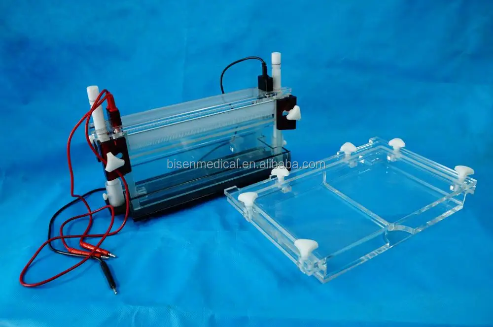 Dna Or Pcr Hemoglobin Electrophoresis Vertical Gel Electrophresis For Western Blotting