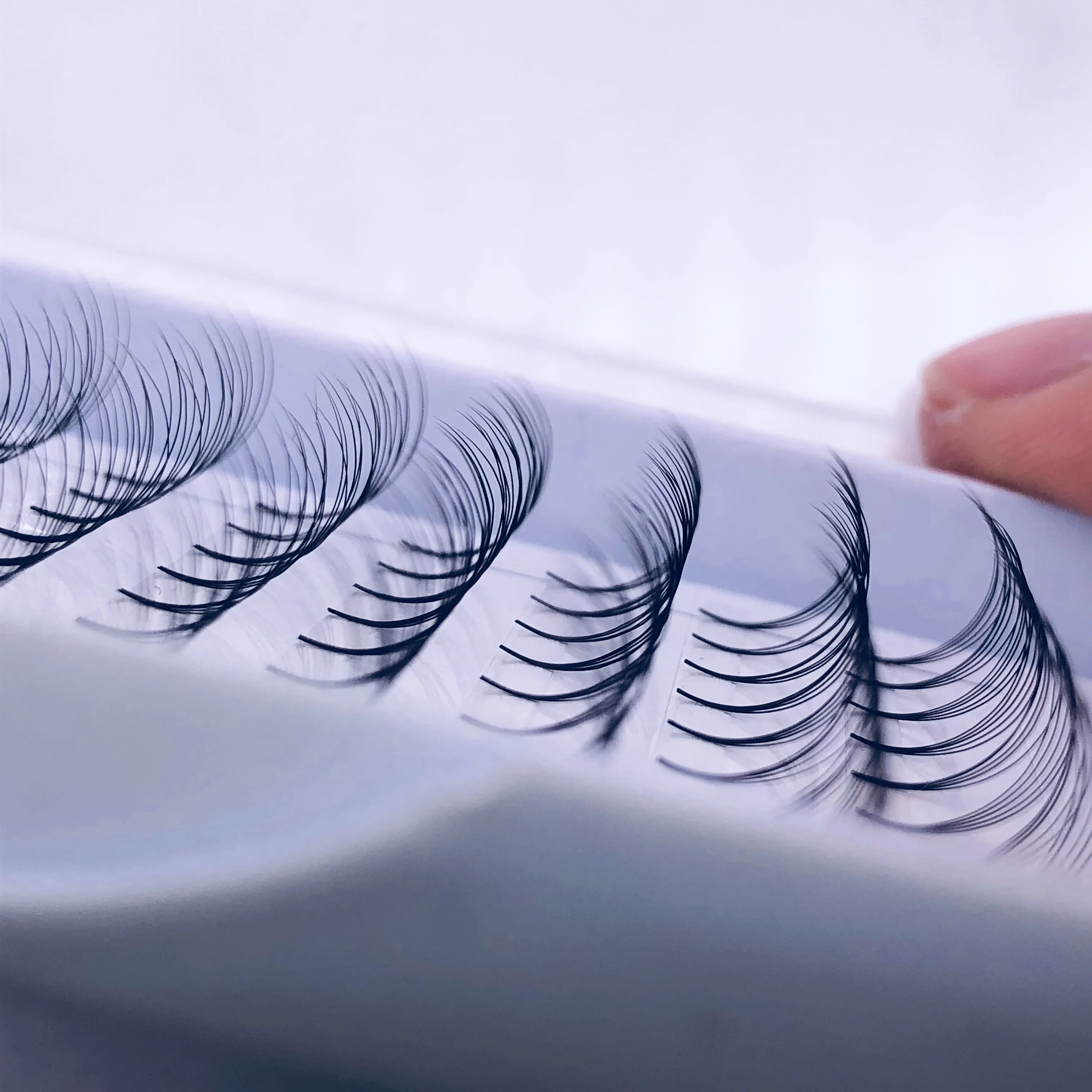 2019 Best Seller 2d 3d 4d 5d 6d Volume Lashes Eyelash Extensions C And