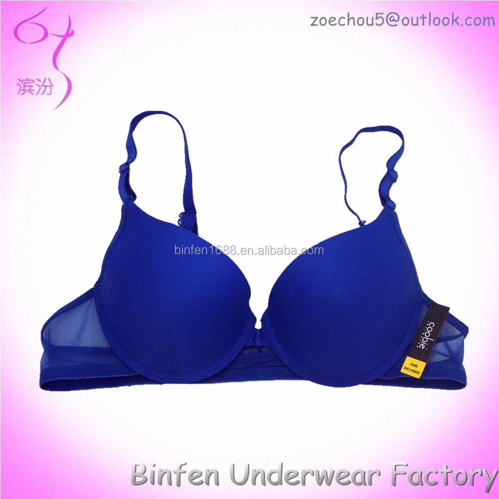 

Lace Mesh Transparent Sexy Underwear Bra for Women