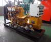 Nude Biogas propane combustion engines with electric generator