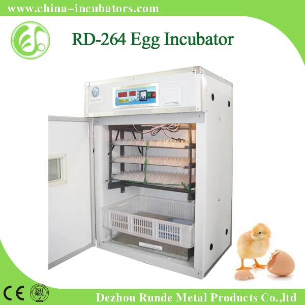 portable incubator egg
