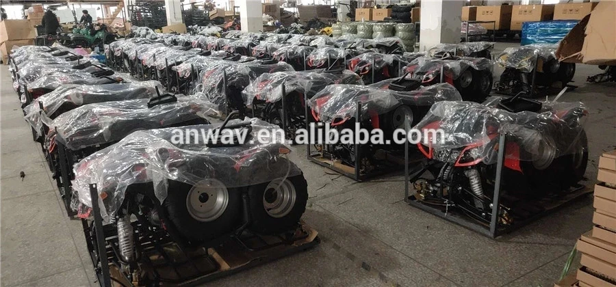 Hot Sale 150cc/200cc/250cc Adults Gasoline Quad Bike ATV