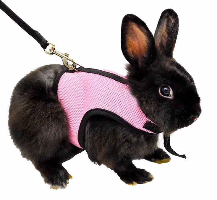Soft Rabbits Harness With Matching Leash Buy Small Animal Harness,Soft Neoprene Harness,Dog