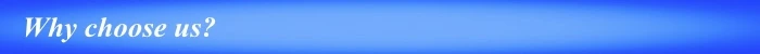 Blue Why choose us.jpg