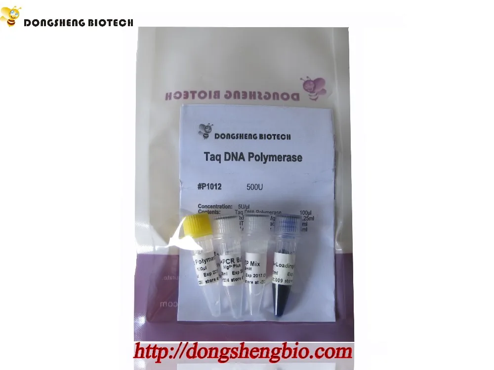 P1012 Taq DNA Ploymerase.jpg