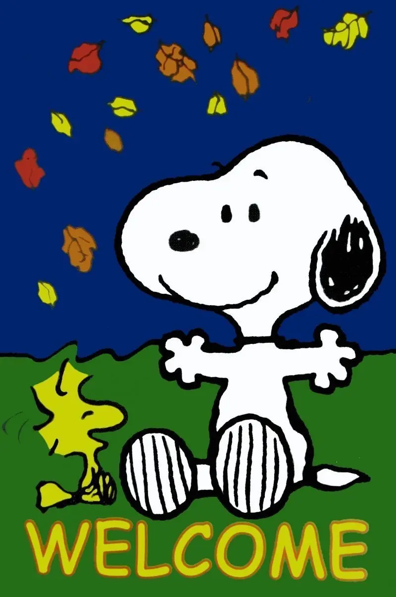 Buy Peanuts Snoopy With His Friend Woodstock Welcome Garden Flag