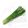 2019 Hot sale garlic chive seeds/chinese chive seed