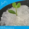 Agriculture Using Starch Based Super Absorbent Polymer