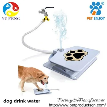 Manufacture Of Automatic Dog Water Bowl 41 Inch Hose And 2