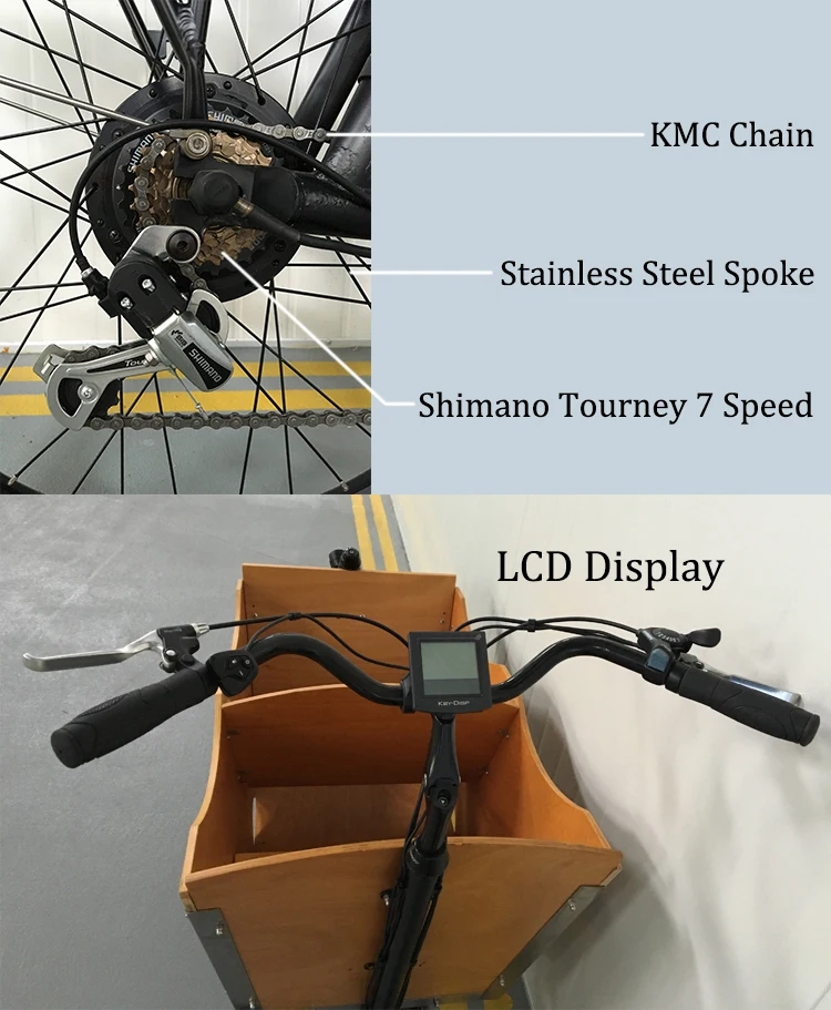 Electric Cargo Bike Family