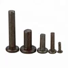 M5 M6 M8 M10 Grade 8.8 Carbon Steel Solid Rivet
