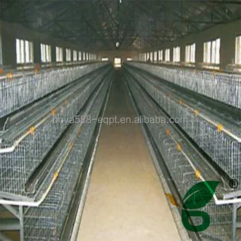 Chicken Broiler House Design Of 3 Floors With Dinkers - Buy Chicken ...