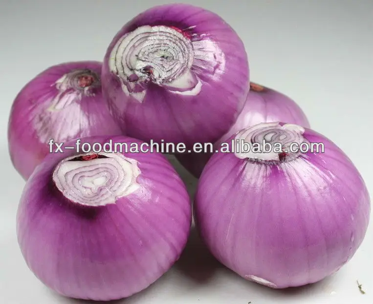 Fx1283a Onion Skin Peeler,Onion Peeler,Automatic Onion Peeling