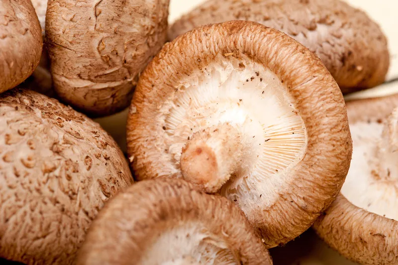 detan cultivated fresh shiitake mushroom
