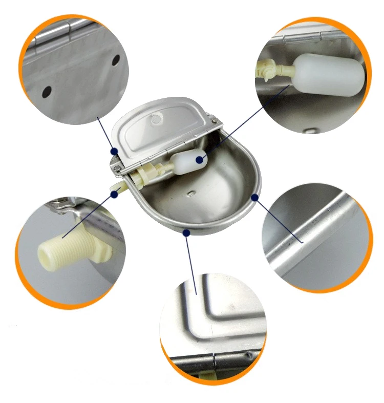 horse drinking bowl.jpg