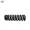 Shock Absorber Coil Spring W164 1643240204