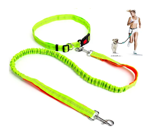 

2019 Amazon Spring New Hot Selling Hands Free Dog Leash Running Nylon Dog Leash for Dog, Multi mixed colors