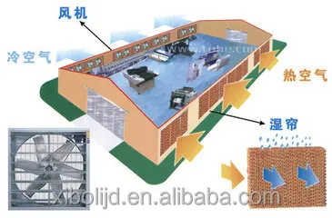 t01ab2a86b0cdbfbd1e.jpg