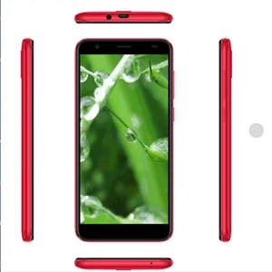 MTK6735 5MP 5.45 inch HD 18 9 IPS Dual SIM Mobile Phone