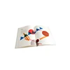 Wholesale book,flyers,leaflet,catalogue,brochure,magazine printing
