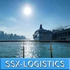 DDP professional ocean shipping service to brazil in well-know container shipping shipper with economy sea forwarding carriages