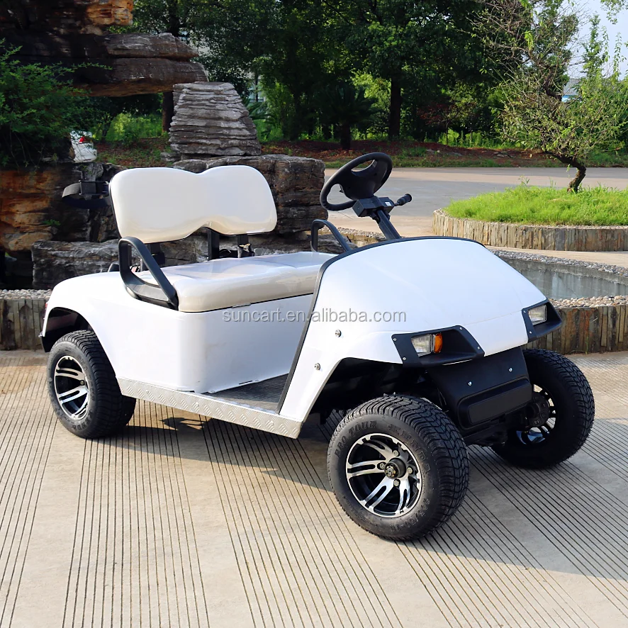 customized 2 seats electric golf cart,mini electric vehicle
