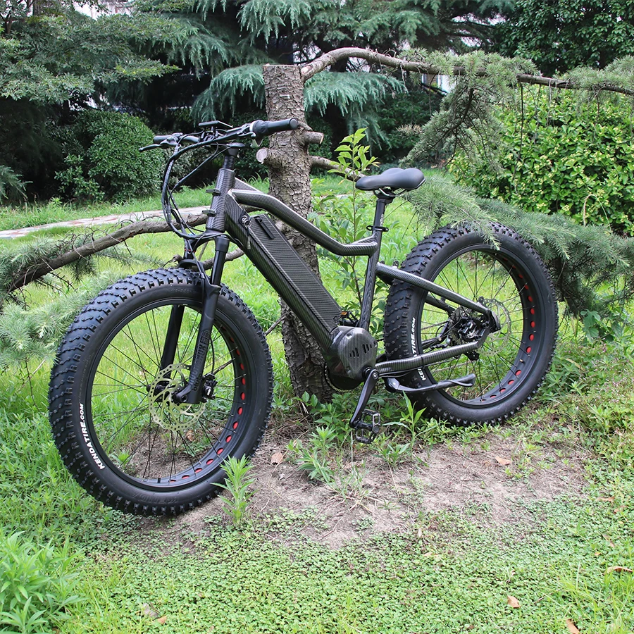 

2019 Factory Direct Big Power Fast Speed 48V 1000W 8Fun Middle Driven Fat Tire Electric Bike Ebike