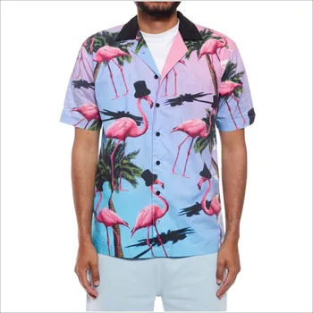 camisa flamingo