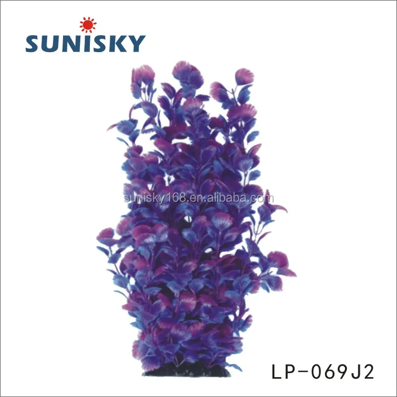 LP-069J2.jpg