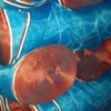 20 eyes Blue Nylon screen net