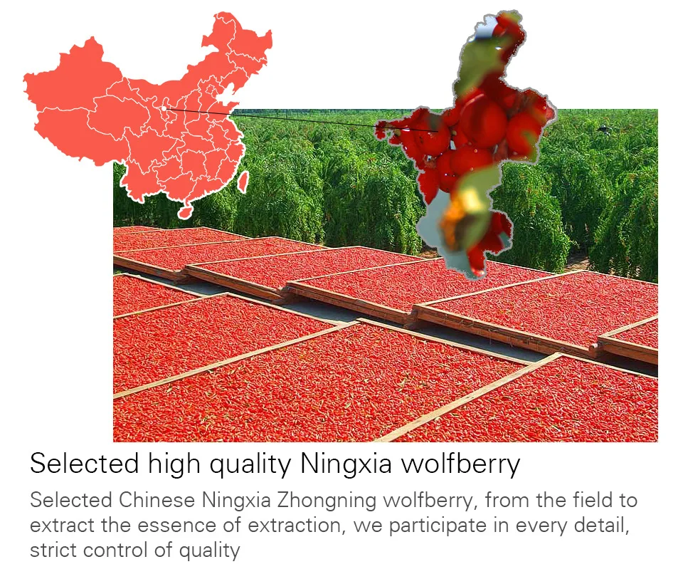 Goji Berry oil (5).jpg