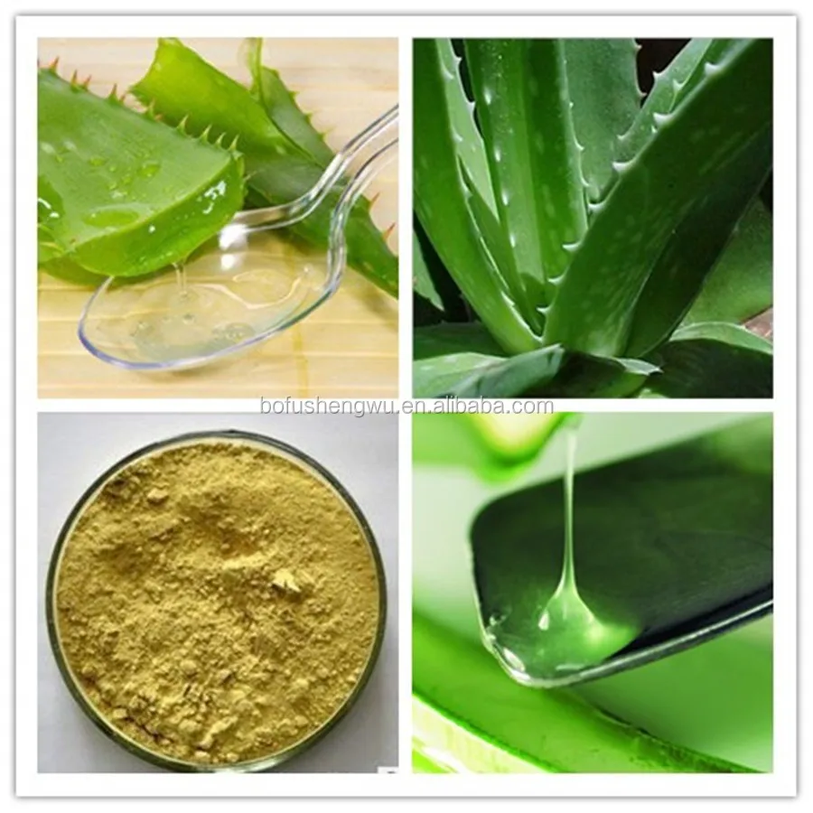 High Quality Aloe Vera Dry Powder/aloe Vera Gel Freeze Dried Powder