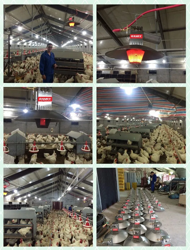 installation gas brooder.jpg