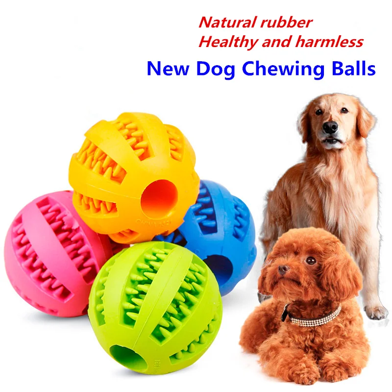 dog treat ball toy
