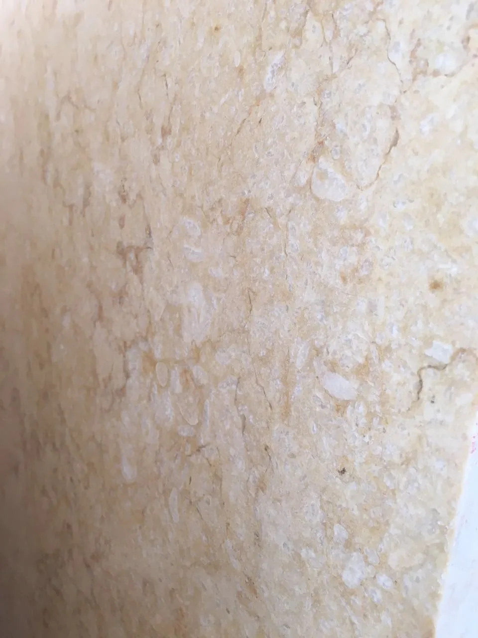 Egyptian Yellow Quality Inspecting2.jpg