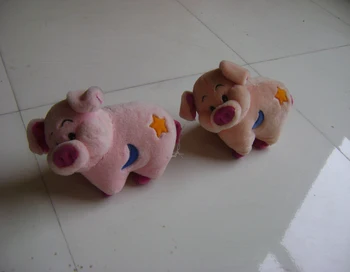 Icti Dan Sedex Audit Desain Baru Disesuaikan Penyu Mewah Hewan