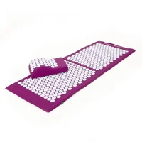 

Therapy Acupressure Mat & Pillow Set Relieve Back And Neck Pain Relax Muscles Relieve Insomnia Includes Travel Bag