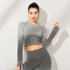 seamless gradient ramp wicking sexy fitness yoga t-shirts pants wholesale crop top suits sports gym running yoga leggings women