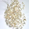 Gemstone mother of pearl sector jewelry raw sea shells mop