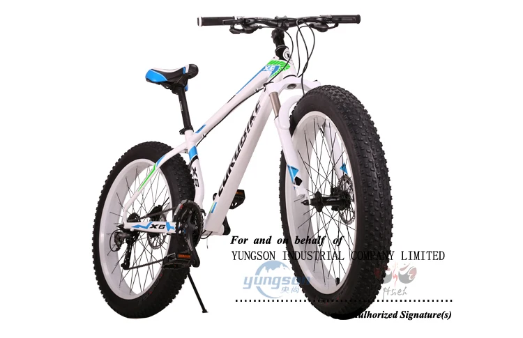 fat bike double suspension