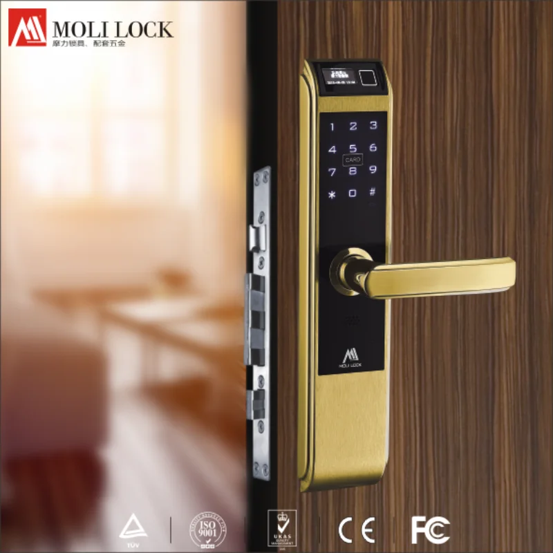 Moli Lock Outdoor Smart Condo Apartment Biometric Fingerprint