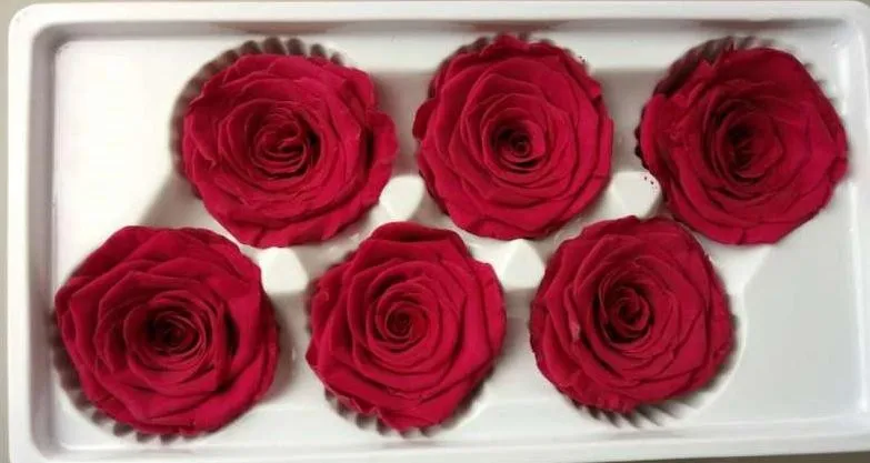 rose 4.jpg
