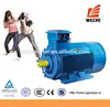 Weiye Cast Iron Body Three Phase HS Code For Industrial Motor