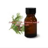 10 minutes quote Thuja Oil Essential Oils from herbal
