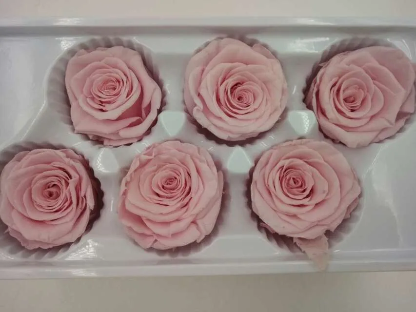 preserved rose.jpg