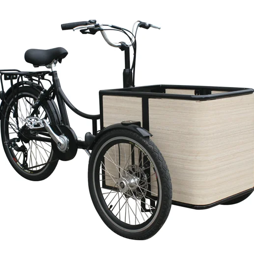 3 wheel electric bicycles